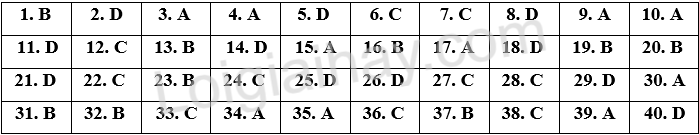 Đề thi vào 10 môn Anh Hải Phòng năm 2025 1 1