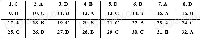 Đề thi vào 10 môn Anh Hậu Giang năm 2023 1 1