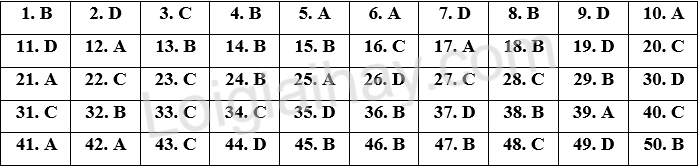 Đề thi vào 10 môn Anh Lâm Đồng năm 2025 1 1