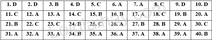 Đề thi vào 10 môn Anh Long An năm 2025 1 1