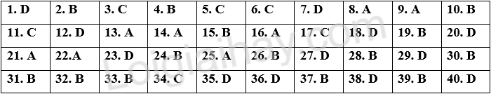 Đề thi vào 10 môn Anh Nghệ An năm 2025 1 1