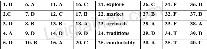Đề thi vào 10 môn Anh Sóc Trăng năm 2025 1 1