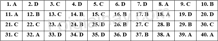 Đề thi vào 10 môn Anh Sơn La năm 2025 1 1