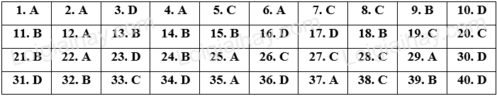 Đề thi vào 10 môn Anh Tây Ninh năm 2023 1 1