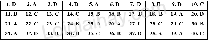 Đề thi vào 10 môn Anh Tây Ninh năm 2025 1 1