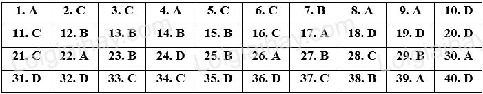 Đề thi vào 10 môn Anh Thái Nguyên năm 2023 1 1