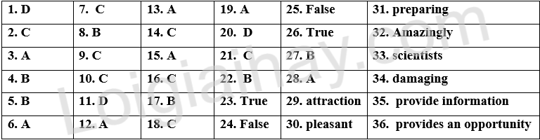 Đề thi vào 10 môn Anh Thành phố Hồ Chí Minh năm 2025 1 1