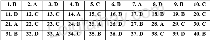 Đề thi vào 10 môn Anh trường THPT chuyên khoa học tự nhiên năm 2025 1 1