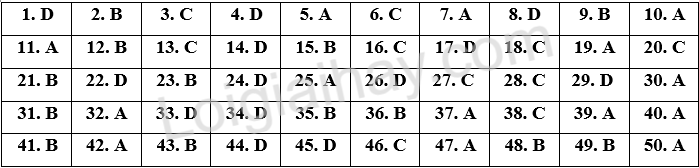 Đề thi vào 10 môn Anh trường THPT chuyên khoa học xã hội và nhân văn năm 2025 1 1
