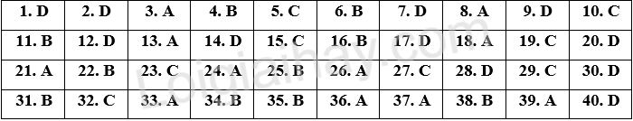 Đề thi vào 10 môn Anh Vĩnh Phúc năm 2025 1 1