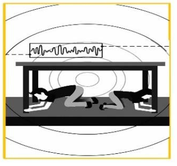 Đề thi vào lớp 6 Khảo sát năng lực trường chuyên Trần Đại Nghĩa năm 2024 0 13