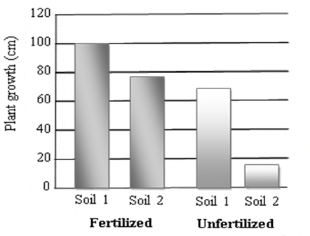 Đề thi vào lớp 6 Khảo sát năng lực trường chuyên Trần Đại Nghĩa năm 2024 0 6