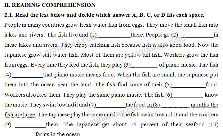 Đề thi vào lớp 6 môn Tiếng Anh trường Amsterdam năm 2019 1 2