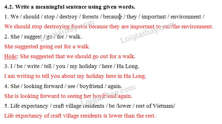 Đề thi vào lớp 6 môn Tiếng Anh trường Amsterdam năm 2019 1 13