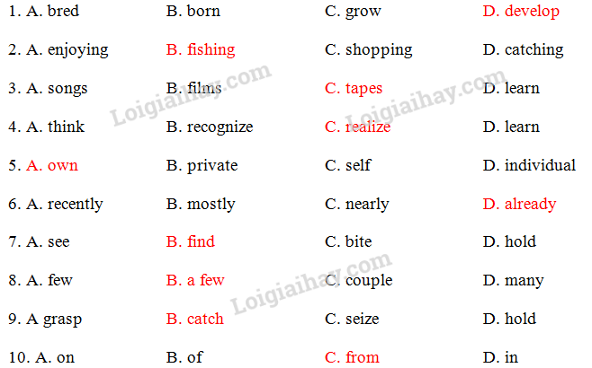 Đề thi vào lớp 6 môn Tiếng Anh trường Amsterdam năm 2019 1 3