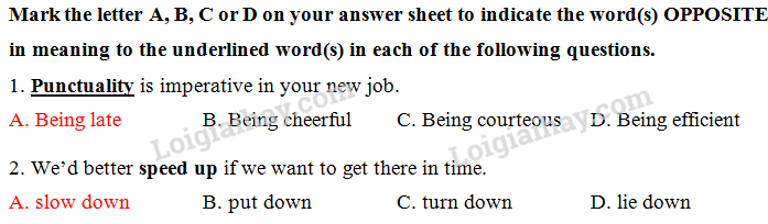 Đề thi vào lớp 6 môn Tiếng Anh trường Amsterdam năm 2019 1 10
