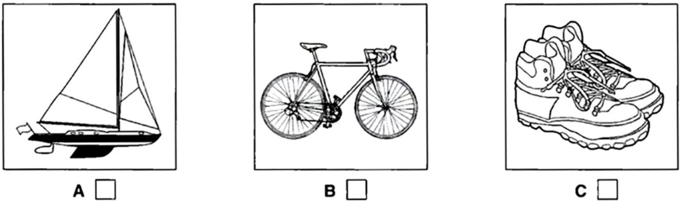 Đề thi vào lớp 6 môn Tiếng Anh trường Amsterdam năm 2023 0 1