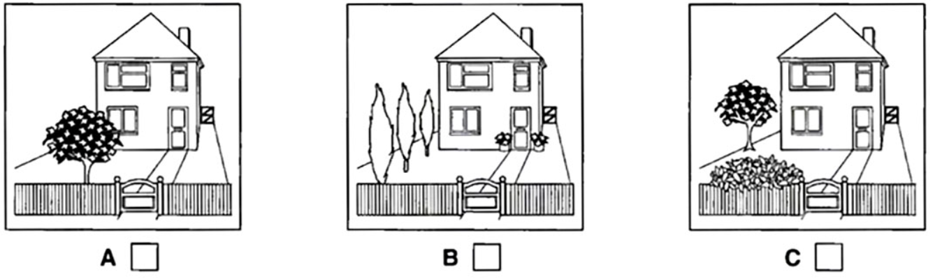 Đề thi vào lớp 6 môn Tiếng Anh trường Amsterdam năm 2023 0 2