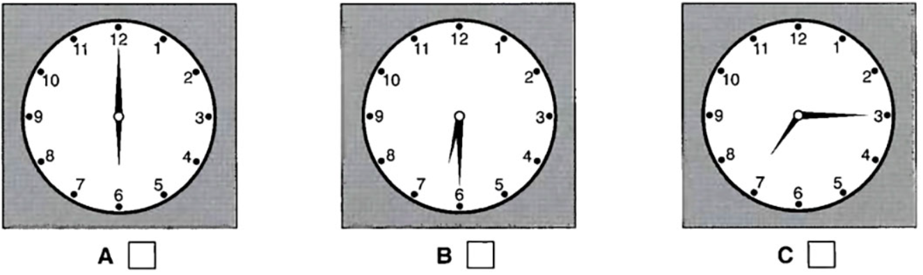 Đề thi vào lớp 6 môn Tiếng Anh trường Amsterdam năm 2023 0 4