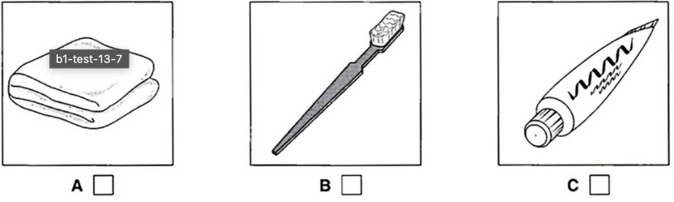 Đề thi vào lớp 6 môn Tiếng Anh trường Amsterdam năm 2023 0 6