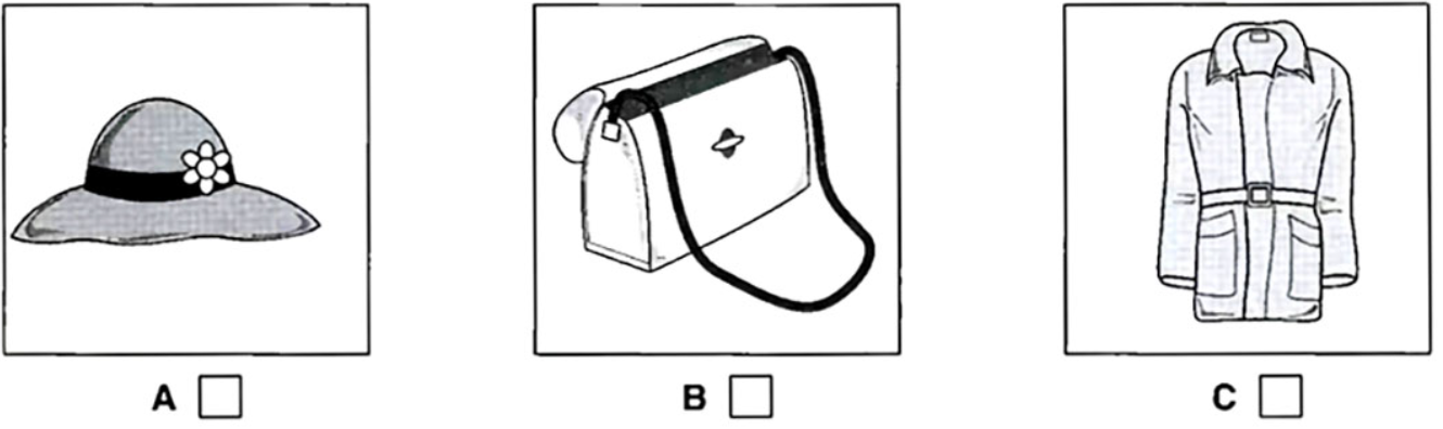 Đề thi vào lớp 6 môn Tiếng Anh trường Amsterdam năm 2023 0 7