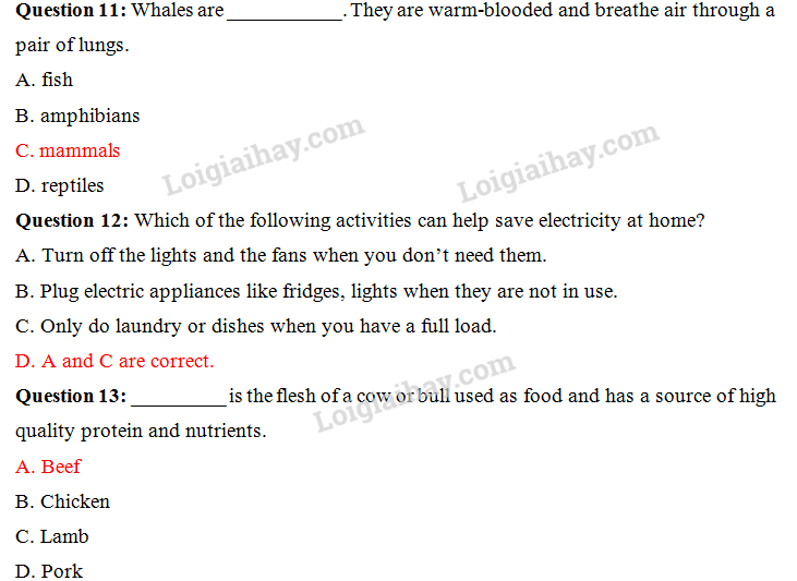 Đề thi vào lớp 6 môn Tiếng Anh trường Nguyễn Tất Thành năm 2018 1 5