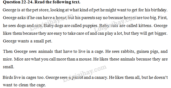 Đề thi vào lớp 6 môn Tiếng Anh trường Nguyễn Tất Thành năm 2020 1 12