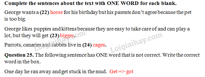 Đề thi vào lớp 6 môn Tiếng Anh trường Nguyễn Tất Thành năm 2020 1 13