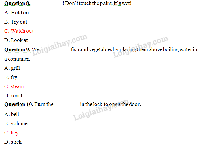 Đề thi vào lớp 6 môn Tiếng Anh trường Nguyễn Tất Thành năm 2020 1 4