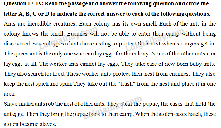 Đề thi vào lớp 6 môn Tiếng Anh trường Nguyễn Tất Thành năm 2021 1 8