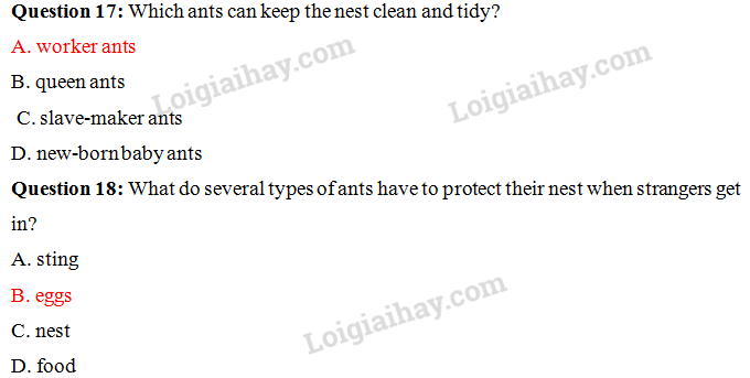 Đề thi vào lớp 6 môn Tiếng Anh trường Nguyễn Tất Thành năm 2021 1 9