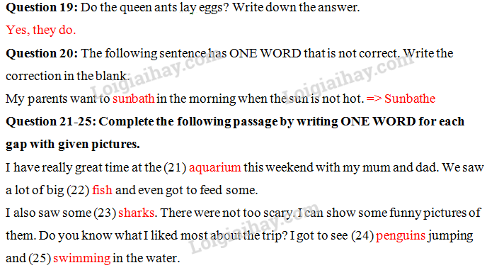 Đề thi vào lớp 6 môn Tiếng Anh trường Nguyễn Tất Thành năm 2021 1 10