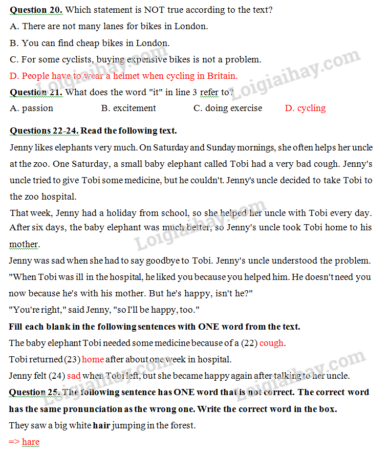 Đề thi vào lớp 6 môn Tiếng Anh trường Nguyễn Tất Thành năm 2023 1 5