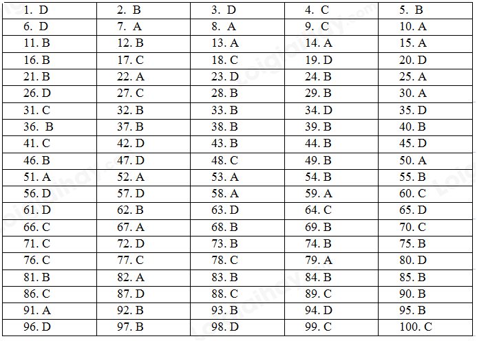 Đề thi vào lớp 6 môn Tiếng Anh trường THCS Archimedes năm 2022 1 1