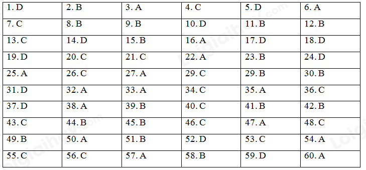 Đề thi vào lớp 6 môn Tiếng Anh trường THCS Marie Curie năm 2020 1 1