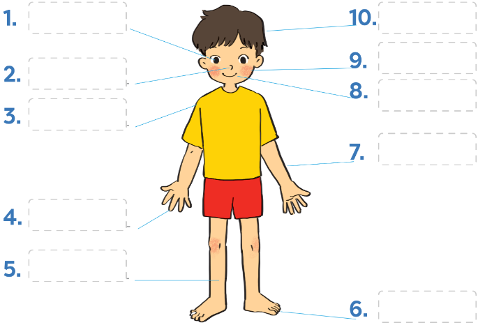 Getting Started - Unit 3. My Friends - Tiếng Anh 6 - Global Success 2 1