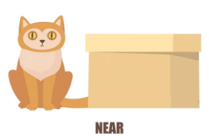 Giới từ chỉ nơi chốn - Luyện thi Starters theo chủ đề ngữ pháp 7