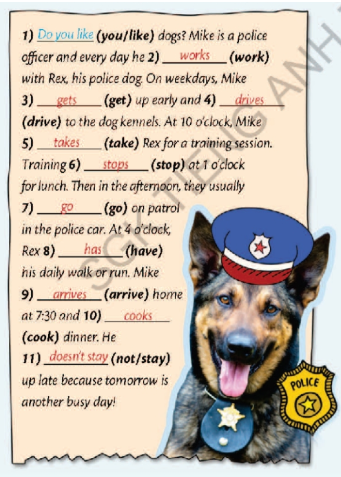 Grammar Bank Unit 1 - SBT Tiếng Anh 7 Right on! 4 2