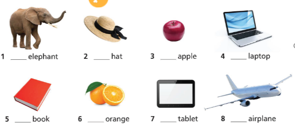 have got Hello! SBT Tiếng Anh 6 - Right on! 11 1