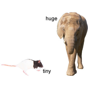 Image Example for huge