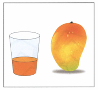 Luyện thi Starters - Đề số 1 0 12