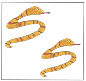 Luyện thi Starters - Đề số 1 1 22