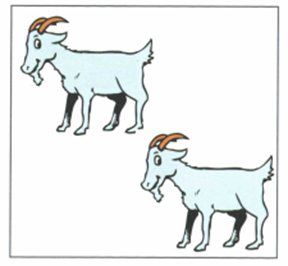 Luyện thi Starters - Đề số 1 1 23