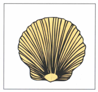 Luyện thi Starters - Đề số 1 1 5