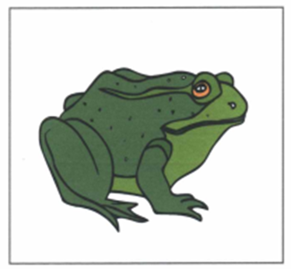 Luyện thi Starters - Đề số 1 1 9