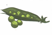 Luyện thi Starters - Đề số 2 0 25