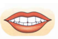 Luyện thi Starters - Đề số 2 1 29