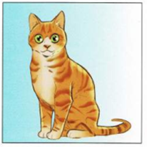 Luyện thi Starters - Đề số 2 1 7