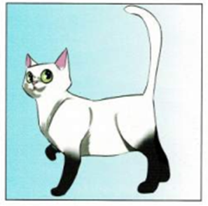 Luyện thi Starters - Đề số 2 1 8