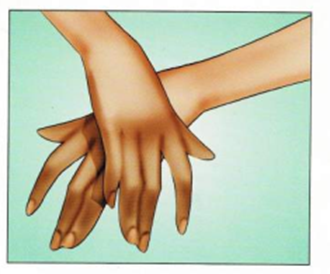 Luyện thi Starters - Đề số 3 0 17